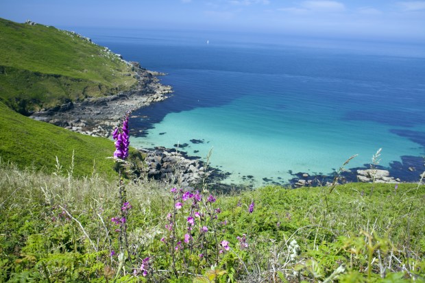Cornwall 8 - Copy.jpg