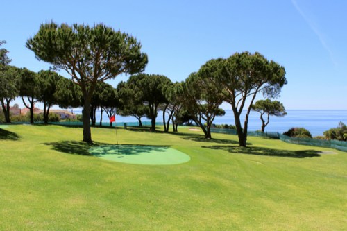 shutterstock_104205839